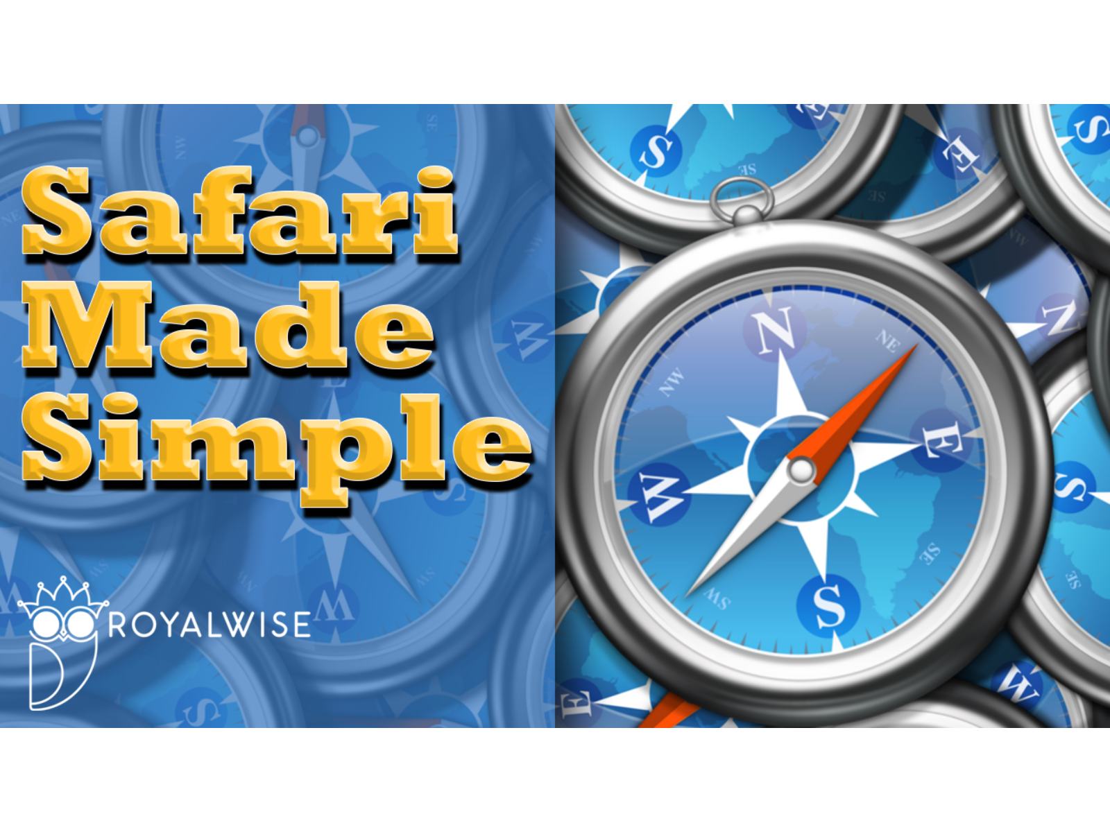 safari-web-surfing-course-royalwise-owls-on-demand-web-based